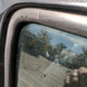 Illustration for article titled Any ideas on how to clean this window?